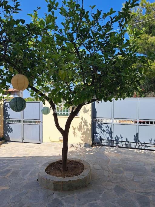 Hestia Airport House - Artemis Apartman Kültér fotó